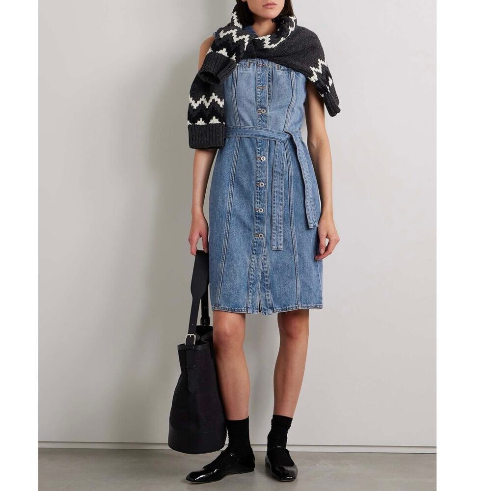 Alex Mill Adeline Denim Shirt Dress Size XS